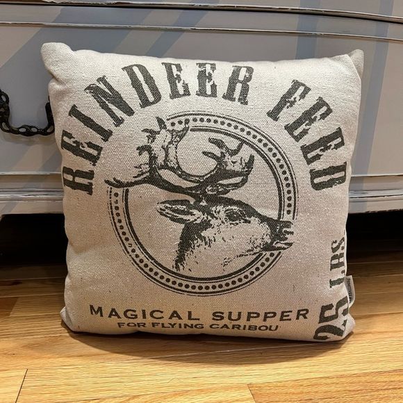 Other - Cute Christmas pillow